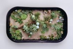 Take Away Landscapes