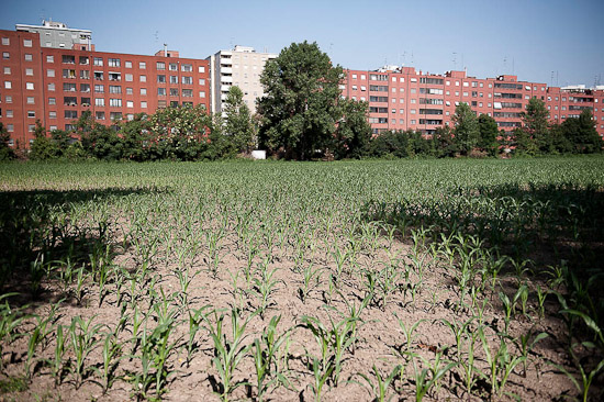 cantore_campazzo-6_web ph. Francesco Cantore